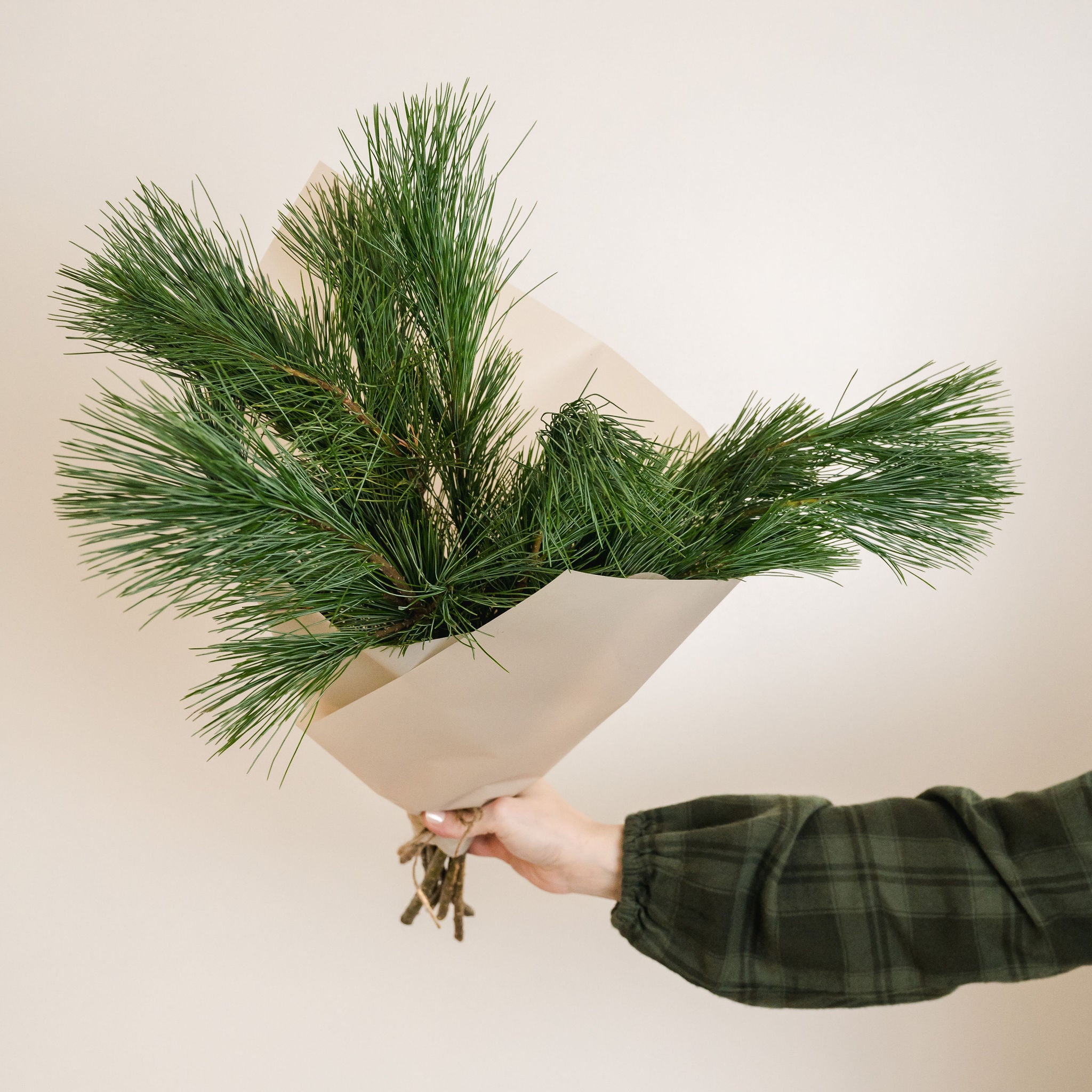 a bouquet of fragrant pine branches