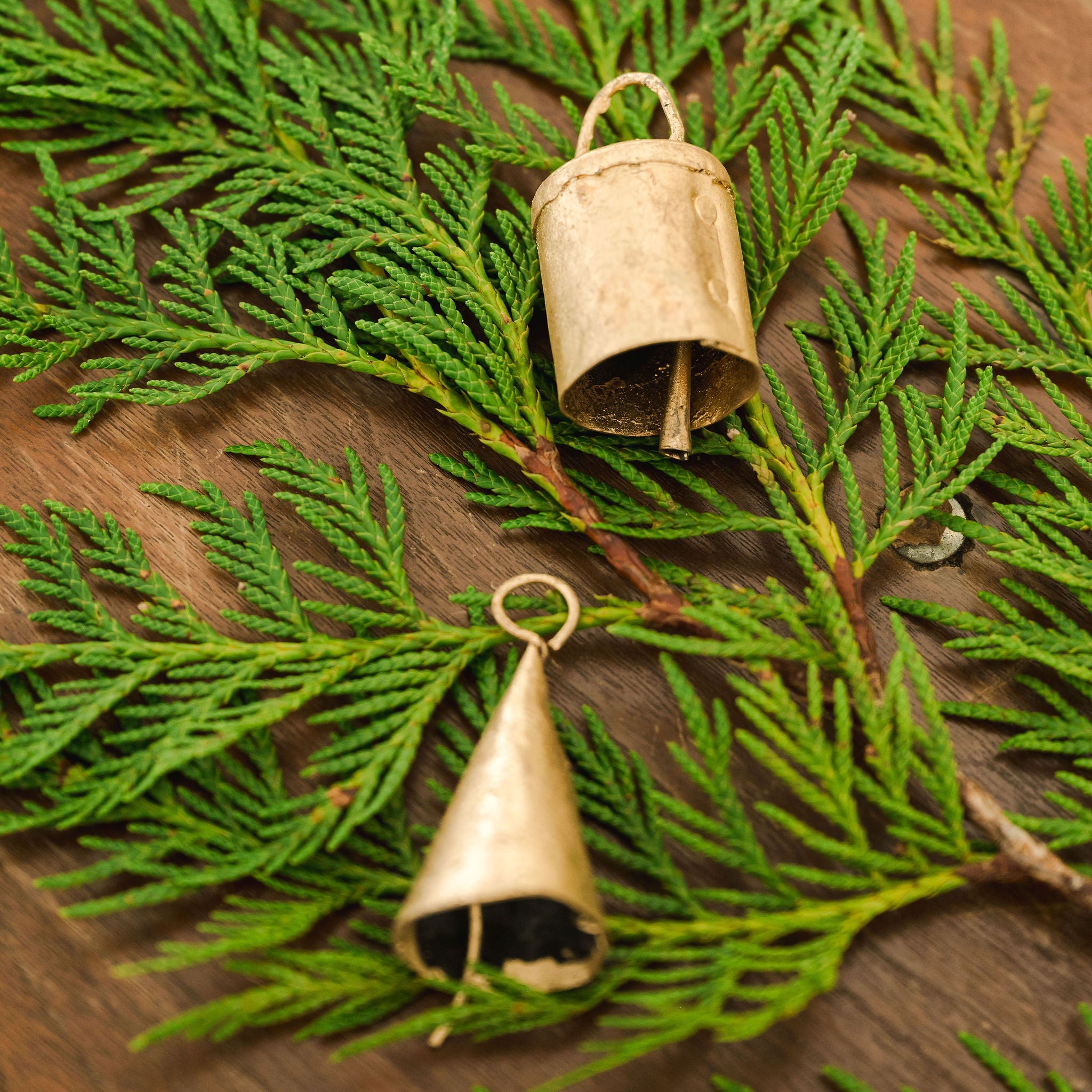 two gold bells laying on a stem of cedar