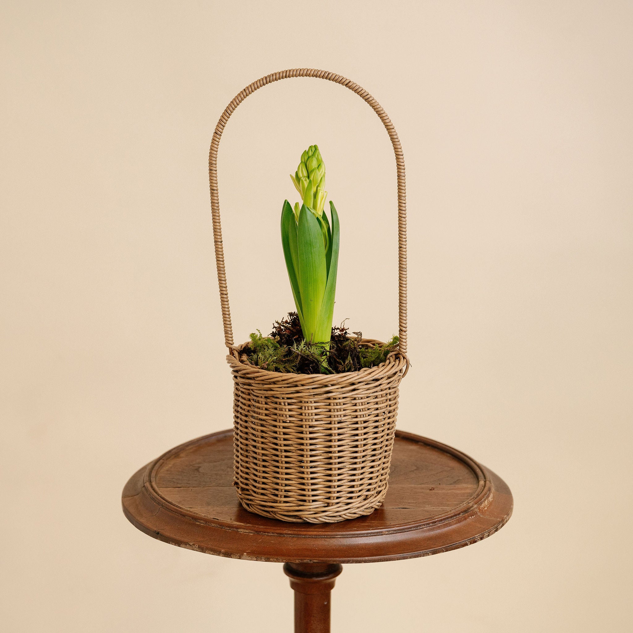 Hyacinth Basket