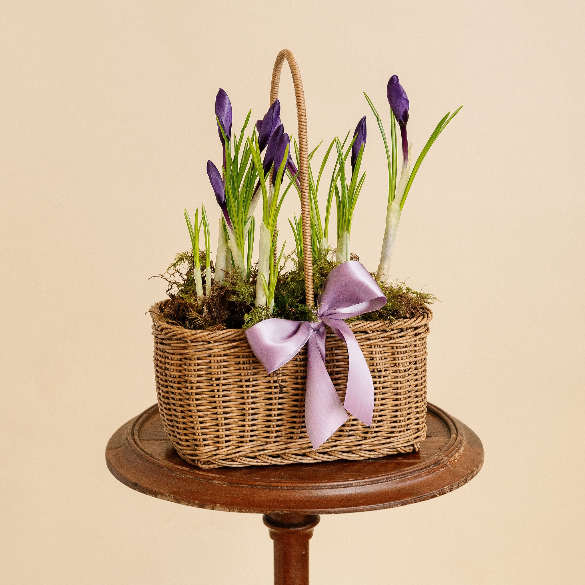 Crocus Basket