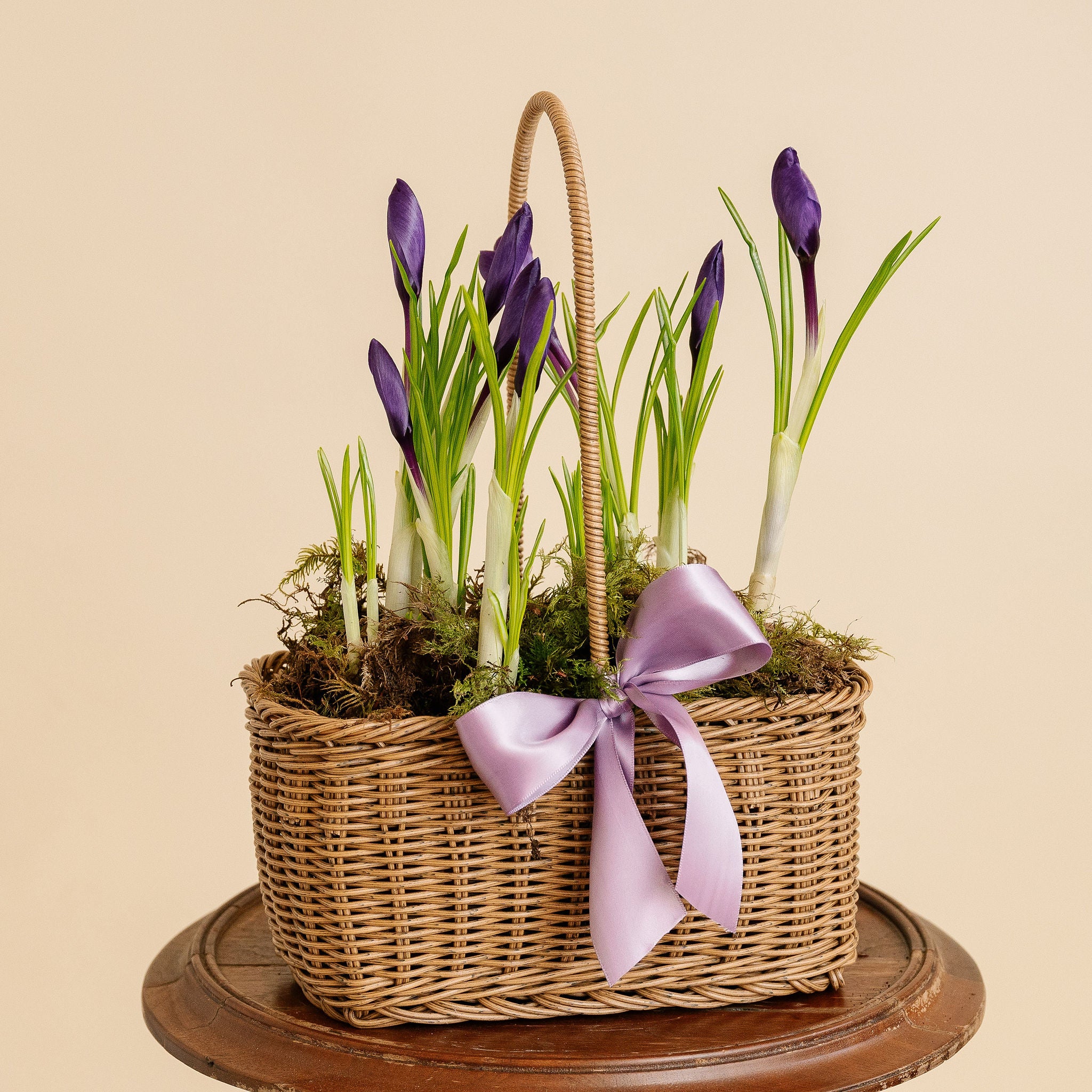 Crocus Basket