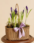 Crocus Basket