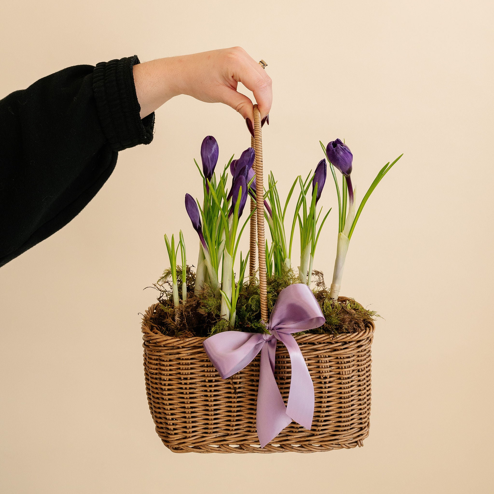 Crocus Basket