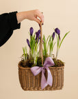 Crocus Basket