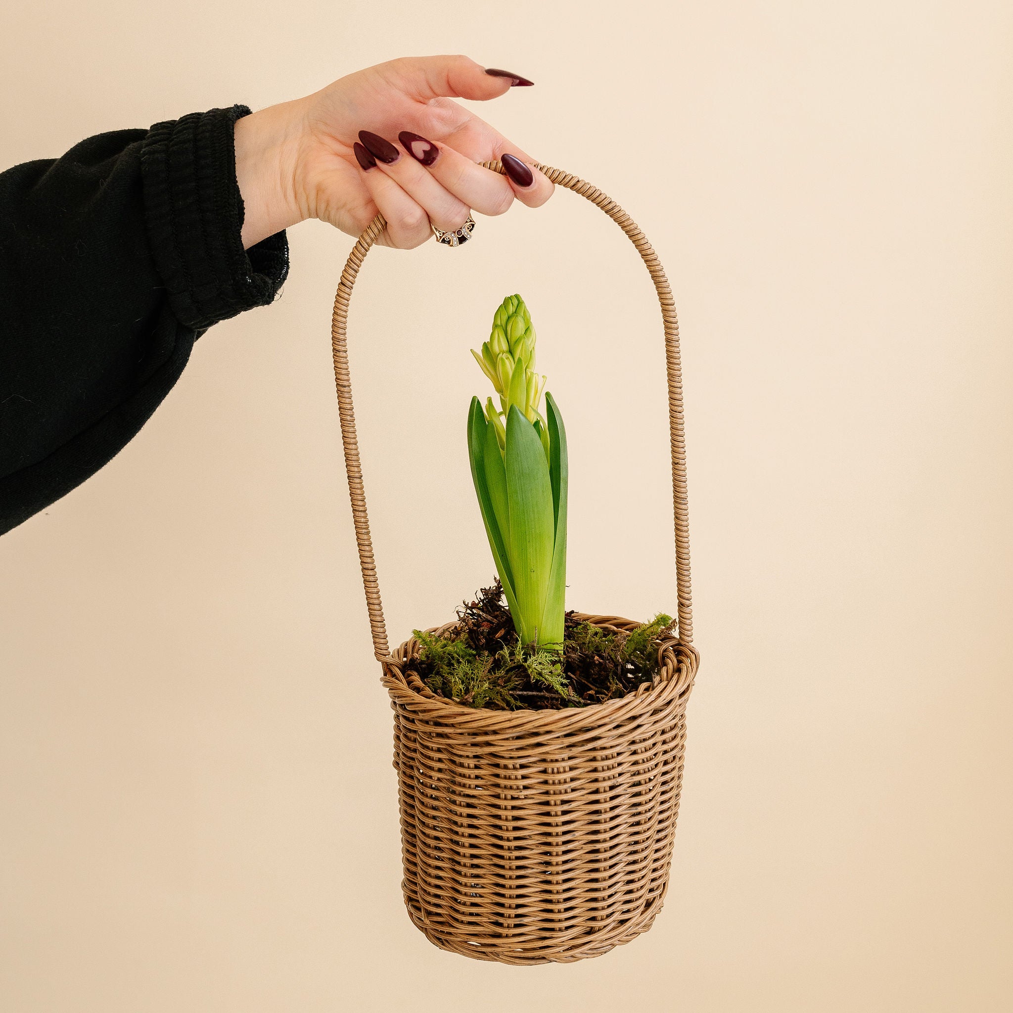 Hyacinth Basket