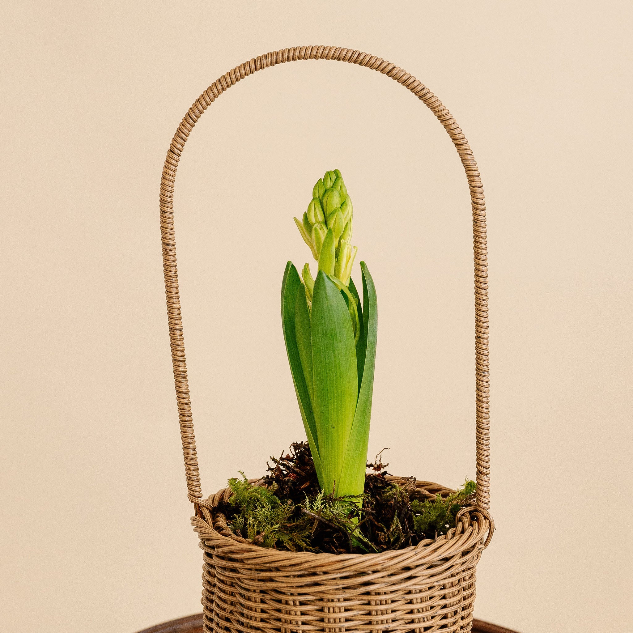 Hyacinth Basket