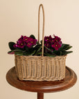 Large African Violet Basket