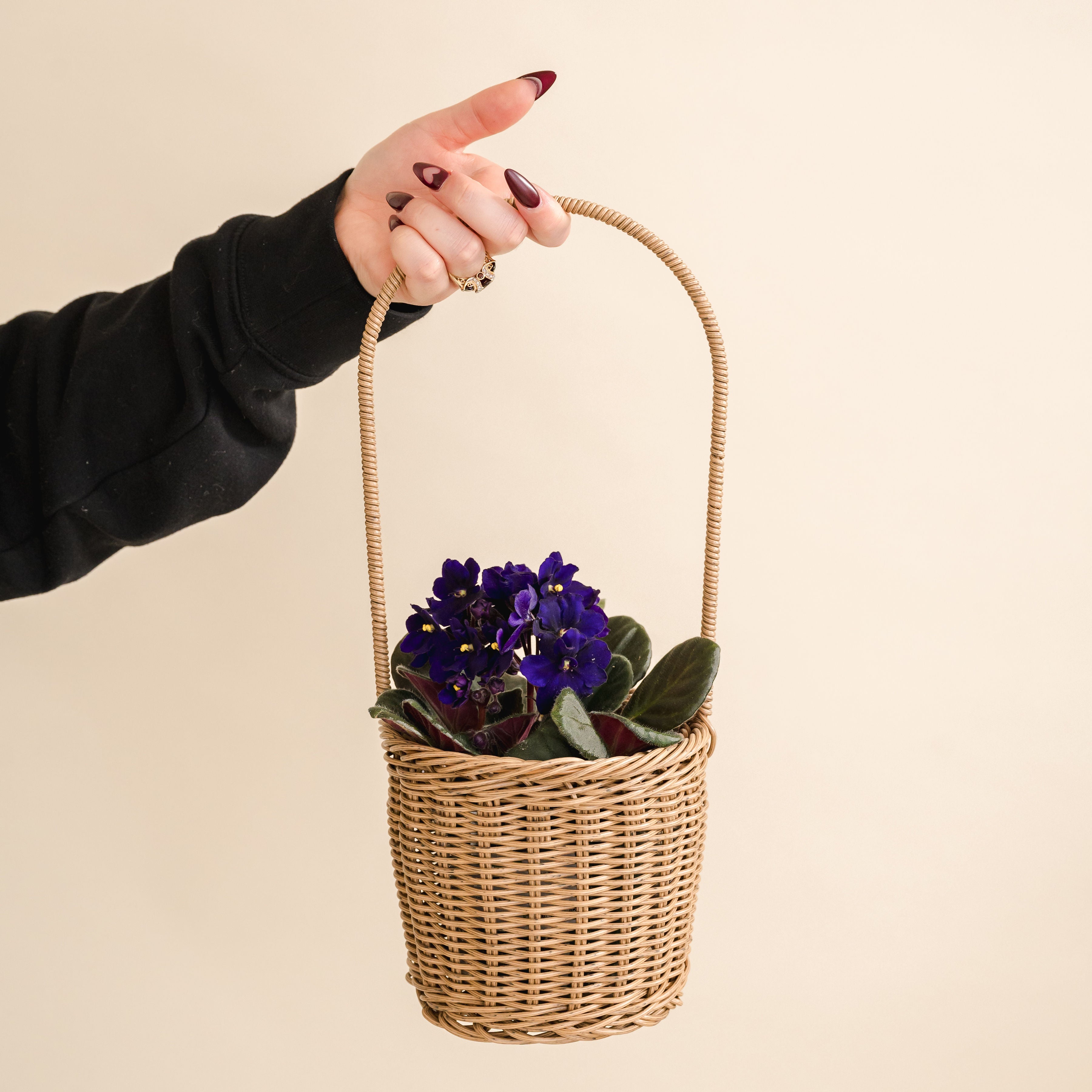 Small African Violet Basket