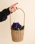 Small African Violet Basket