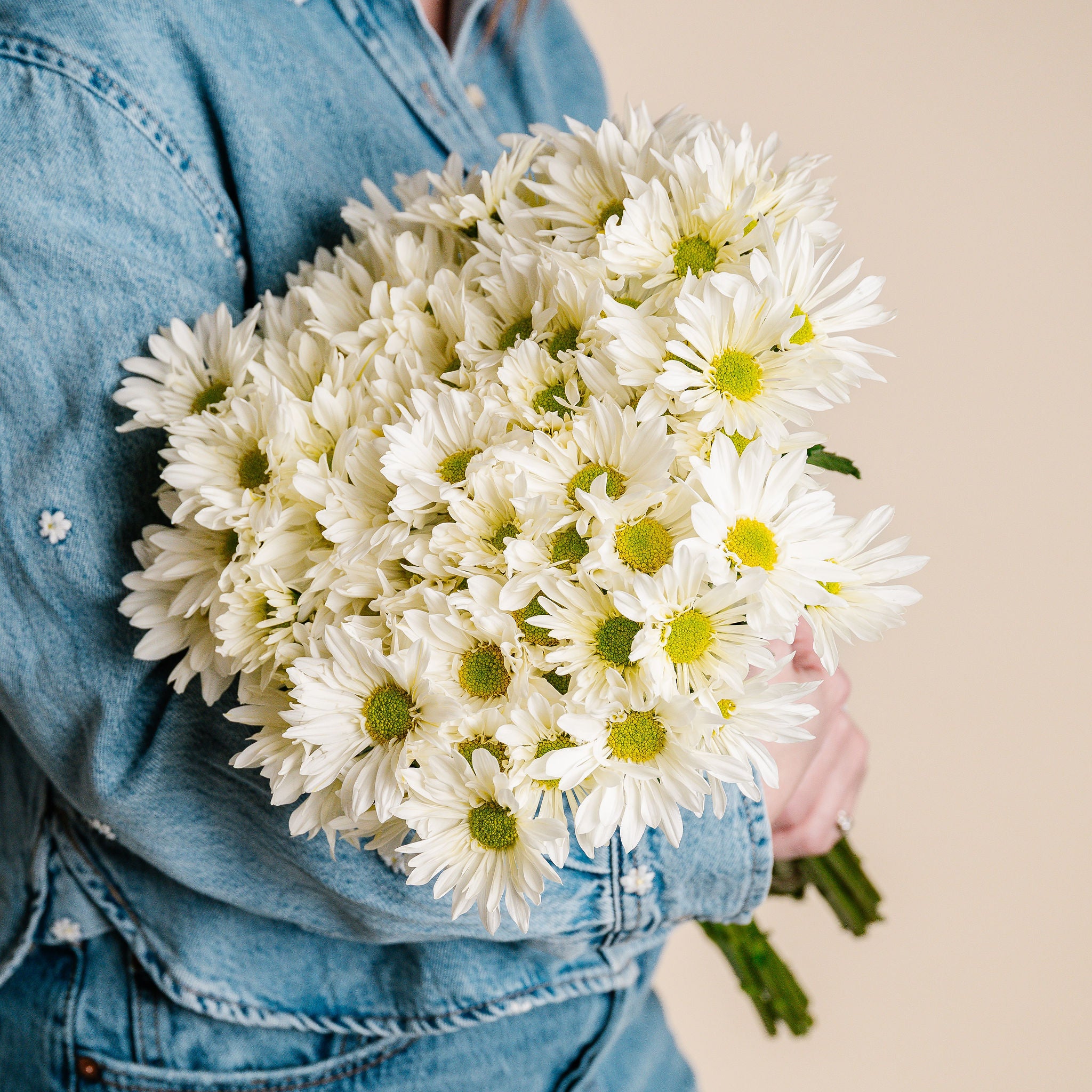 *Daisy Days* Daisy Bunch