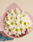 *Daisy Days* Daisy Bunch